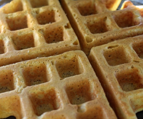 Paleo Gluten-Free Plantain Waffles