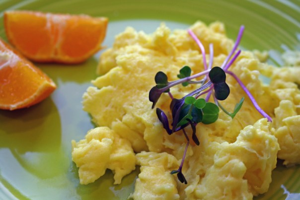 Uncle Ted's Soft Scrambled Eggs